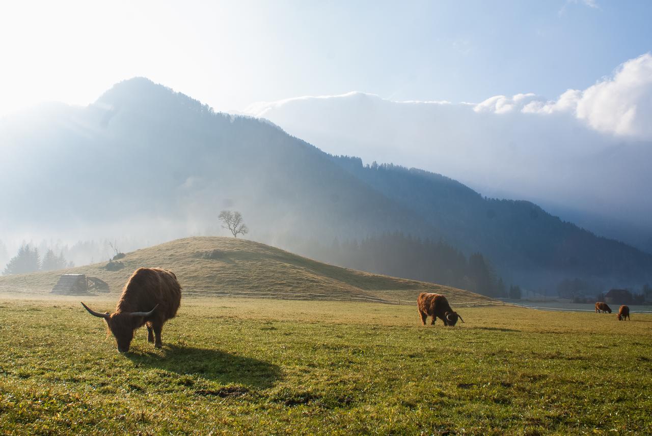 Camping & Glamping Jezersko Ex Cvet Gora Exterior photo